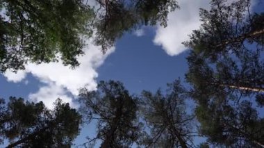 Nefes kesen zaman atlamalı gösteri doğası dansı. Gökyüzü heybetli çam ağaçlarının üzerinden hızla geçerken, sahneyi canlı renklerle boyuyor. Huşu uyandıran bir doğa gösterisi. Güzellik sadece bir saniye içinde.