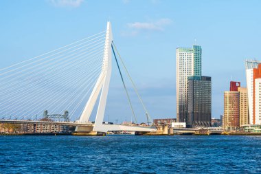 Rotterdam gökdeleni güneşli bir günde. Panoramik manzara. Görkemli Skylines, Rotterdam Şehir Merkezi 'nin Büyüleyici Güzelliği Ortaya Çıktı