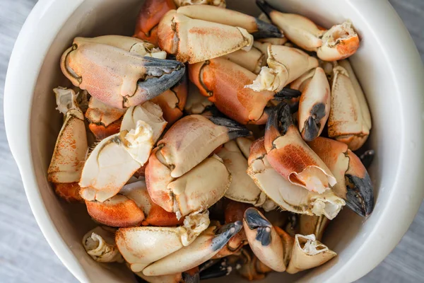 Stone crab claws. Colossal Crab claws served. Classic appetizer or entree, boiled Crab claws, seafood