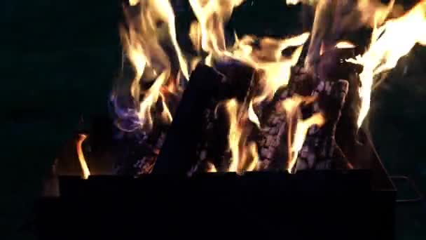 Fát Égetünk Barbecue Ban Grillezéshez Tűz Láng Sötét Háttér — Stock videók