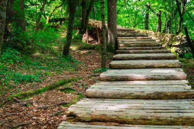 Tranquil Trails: Hırvatistan 'daki Plitvice Göllerinin Manzaralı Güzelliğini Keşfetmek, Doğa Senfonisinin Huzuruna Batmak