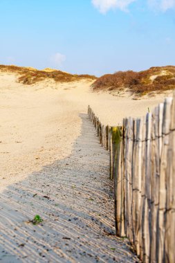 Hollanda 'nın Lahey kentindeki Sandy Dunes' un Güneşli Günü: Avrupa 'nın İnanılmaz Kum Tepeleri.