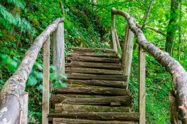 Tranquil Trails: Hırvatistan 'daki Plitvice Göllerinin Manzaralı Güzelliğini Keşfetmek, Doğa Senfonisinin Huzuruna Batmak