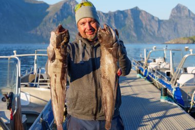 Lofoten, Senija, Alta-Norveç yakınlarındaki teknede büyük bir kurt balığıyla balıkçı. Tutan adam Atlantik kurdu balığı yakalar.