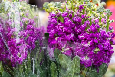 Güzel Karışık Çiçek Buketleri: Kadınlar Günü ve Anneler Günü için Güller, Gerberalar, karanfiller, laleler