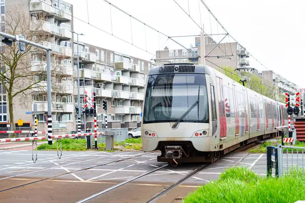 Embrace sustainable urban mobility in Rotterdam as electric trams form a vital part of the citys public transportation, offering efficient and eco-friendly travel.