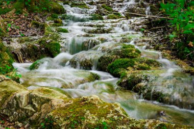 Hırvatistan 'ın Krka Ulusal Parkı' ndaki çarpıcı şelalelerin nefes kesici manzarası. Yükselen sular yemyeşil ortamda büyüleyici bir doğa harikası yaratıyor..