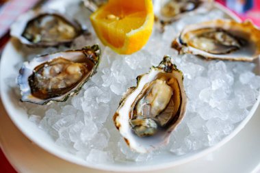 Limon dilimli ve portakal dilimli taze, buzlu istiridye resmi. Beyaz arka planda izole edilmiş. Deniz ürünleri restoranları, yemek blogları, sağlıklı beslenme kavramları ve daha fazlası için harika..