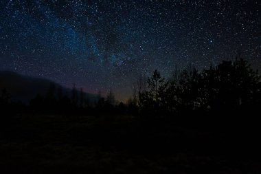 Koyu mavi gökyüzü çeşitli boyutlarda parlak yıldızlarla doludur. Uzun, koyu ağaçlar ön planda duruyor. Durgun su, gökyüzünü ve yıldızları yansıtır. Huzurlu bir manzara yaratır..