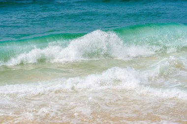 Dalga kıyıda kopmak üzere. Su kristal gibi berrak ve altındaki kumu görebilirsiniz. Dalga üstte köpüklü ve beyaz ve altta mavi-yeşile dönüyor..