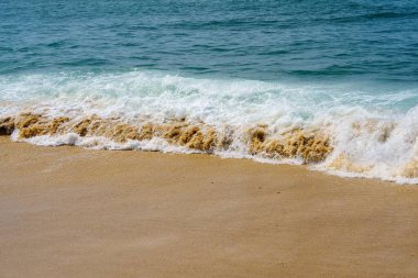 Yumuşak altın kumu ve kıyıya vuran yumuşak köpüklü okyanus dalgalarını içeren güzel kumlu bir sahil. Rahatlamak ve doğanın güzelliğinin tadını çıkarmak için mükemmel sakin bir atmosfer yaratıyor..