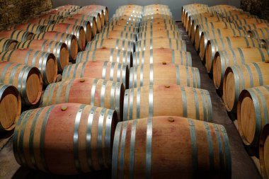 Sönük bir şarap mahzeninde titizlikle düzenlenmiş meşe şarabı fıçıları koleksiyonu gelenek, zanaat duygusu ve nesiller boyu süren şarap imalatının zengin tarihçesini anımsatıyor..