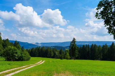 Görüntü, açık mavi gökyüzü ve yeşil tarlaları olan güzel bir kır manzarasını gösteriyor. Görüntü huzurlu ve huzurlu, ve bir hisse senedi acentesi için mükemmel olurdu..