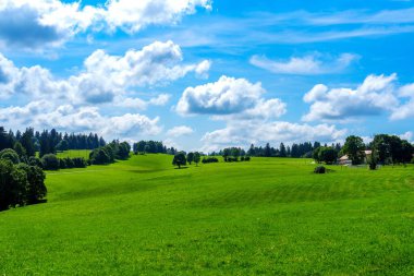 Pofuduk bulutlarla dolu, parlak mavi bir gökyüzüne kurulmuş, canlı, yeşil ağaçlarla kaplı bir tepe manzarası, güzel ve sakin bir açık hava manzarası yaratıyor..