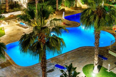 Palmiye ağaçlarıyla çevrili, göz kamaştırıcı bir gece görüşü olan tropikal bir cennet keşfedin. Huzurlu atmosfer rahatlatıcı bir tatil için mükemmel bir kaçış sunuyor..