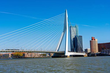 Hollanda 'nın Rotterdam kentindeki Erasmus Köprüsü' nün eşsiz modern mimarisi ve arka planda canlı şehir siluetinin yer aldığı büyüleyici bir manzarası. Seyahat ve mimari için ideal..