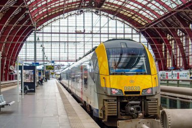 Pürüzsüz sarı ve gri bir tren Belçika 'nın Antwerp kentindeki çarpıcı tren istasyonuna ulaşır. Kemerli tavanlar ve büyük pencereler sergilenir. Seyahat ve mimari güzelliği ön plana çıkarır..