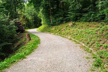 Serin bir çakıl yolu, yemyeşil bir ormanın içinden geçer. Yürüyüş ve bisiklet için mükemmeldir. Bu resim sahnesi keşfi davet ediyor ve doğanın güzelliğini gözler önüne seriyor..