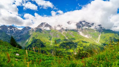 Grossglockner, Avusturya 'nın çarpıcı güzelliğini bu büyüleyici manzara fotoğrafıyla keşfedin. Seyahat malzemelerinde görkemli Avusturya Alplerini sergilemek için ideal..