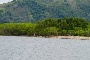 Rio de Janeiro, Paraty Pontal Plajı.