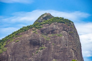 Rio de Janeiro, Brezilya 'daki Ipanema mahallesinden iki Hill Brother görüldü..