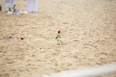 flowers in honor of iemanja, during a party at copacabana beach.