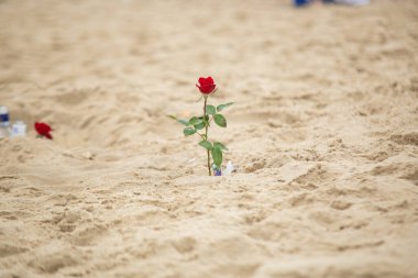 flowers in honor of iemanja, during a party at copacabana beach.