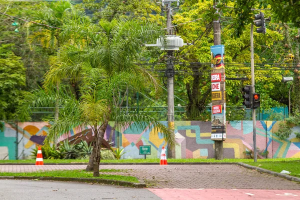 ジャネイロのフィゲイラ公園 ブラジル 2022年10月2日 リオデジャネイロのラゴア ロドリゴ フリータスのフィゲイラ公園 — ストック写真