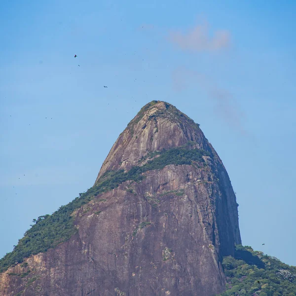 Dos Hermanos Colina Río Janeiro Brasil — Foto de Stock