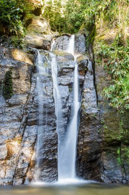 Brezilya, Rio de Janeiro Horto 'da Sağanak Şelale