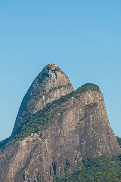 Two Hill Brother Rio Janeiro Brazil — Stock fotografie