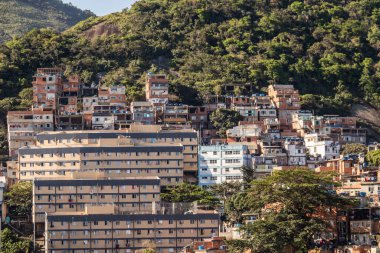 Rio de Janeiro, Brezilya 'daki Cantagalo Tepesi' nde evler.