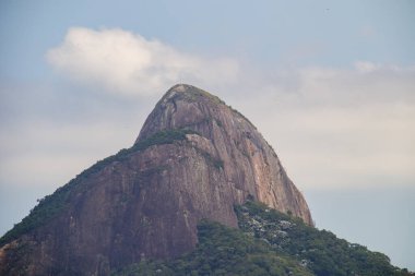 Rio de Janeiro, Brezilya 'da Rodrigo de Freitas Gölü' nden iki Hill Brother görüldü..
