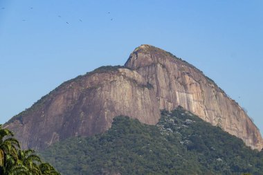 Rio de Janeiro, Brezilya 'da İki Tepe Kardeş.