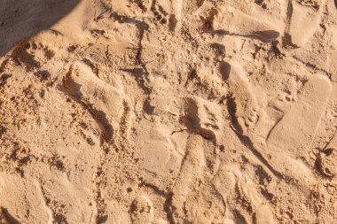 Rio de Janeiro, Brezilya 'da kumsalda ayak izleri var..