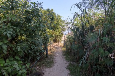 Brezilya, Rio de Janeiro 'daki Niteroi' deki Kamboinha plajı..