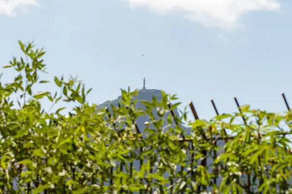 stock image View Christ the Redeemer in Rio de Janeiro, Brazil - May 15, 2024: View of the Christ the Redeemer statue in Rio de Janeiro.