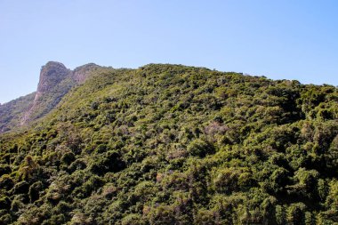 Brezilya 'nın Rio de Janeiro şehrinde Sao Conrado' da görülen Two Hill Brother 'ın yanındaki Atlantik ormanının bir parçası..