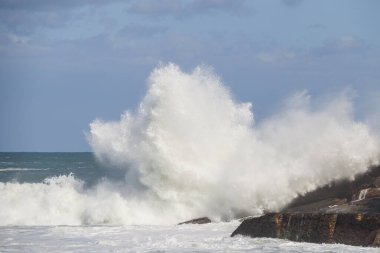 Rio de Janeiro, Brezilya 'da Leblon sahilinde akşamdan kalmayım..