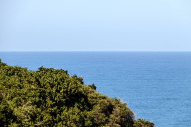 Brezilya 'nın Rio de Janeiro şehrinde Sao Conrado' da görülen Two Hill Brother 'ın yanındaki Atlantik ormanının bir parçası..