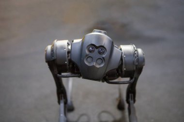 Rio de Janeiro, Brezilya 'da uzaktan kumandalı köpek şekilli robot.