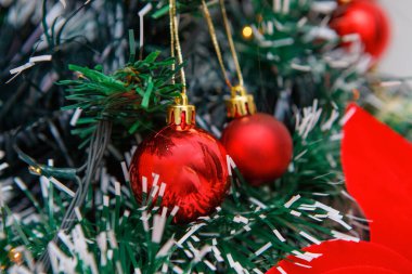 Rio de Janeiro, Brezilya 'daki evinde süslenmiş Noel ağacı.