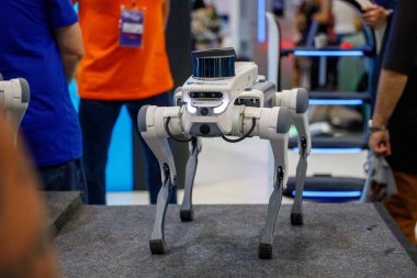 Rio de Janeiro, Brezilya 'da bir sergide robot köpek - 16 Ağustos 2024: Rio de Janeiro' da bir sunum sırasında robot köpek.
