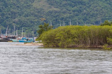 Rio de Janeiro, Brezilya 'daki Paraty' de Terranova Plajı.
