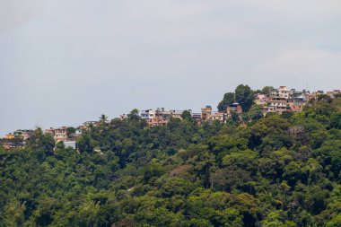 Rio de Janeiro, Brezilya 'daki Rocinha gecekondu manzarası.