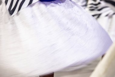 Brezilya, Rio de Janeiro 'daki samba okulu provası sırasında eteğini kıvıran Bahian bir kadın..