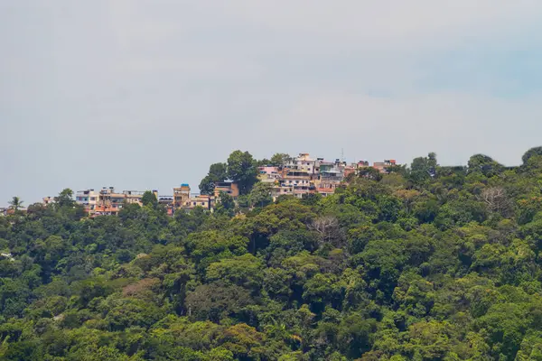 Rio de Janeiro, Brezilya 'daki Rocinha gecekondu manzarası.