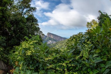 Görüntü: Vista Chinesa Rio de Janeiro, Brezilya.