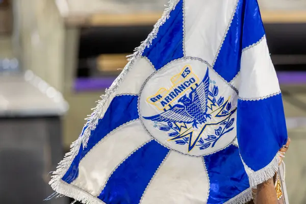 Samba okulu Brezilya 'nın Rio de Janeiro kentindeki Engenho de Dentro' da başlar - 9 Şubat 2025: Samba okulu Sambadrome 'daki geçit töreni sırasında Engenho de Dentro' da başlar