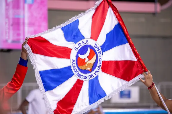 Rio de Janeiro, Brezilya 'daki Academicos de Vigario Geral samba okulu - 26 Ocak 2025: Sambadrome' daki geçit töreni sırasında Akademicos de Vigario Geral samba okulu